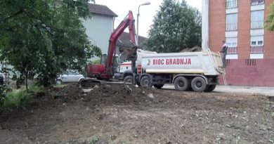 Počelo parterno uređenje na Jaliji Počelo parterno uređenje na Jaliji