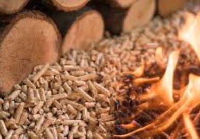 Pelet se rasproda čim stigne, cene i do 43.000 dinara