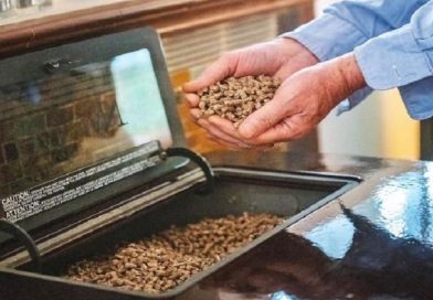 Potražnja za peletom pogurala cene – snabdevači u Srbiji prodaju samo na džak