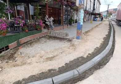 Ljajić: Trotoari će biti pešačke staze, a ne parking prostor