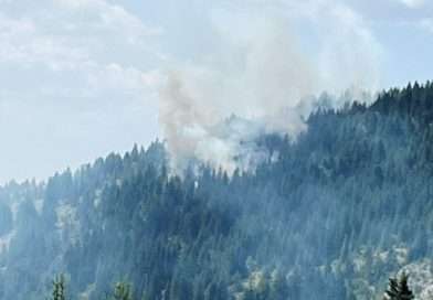 Vanredna situacija u delu opštine Prijepolje, širi se požar ka Kamenoj Gori