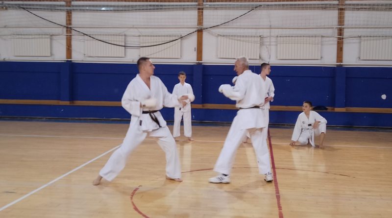 Dušan Belojica i Srdan Belojica
