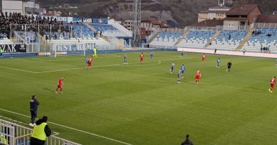 Novi Pazar - Javor 1:2