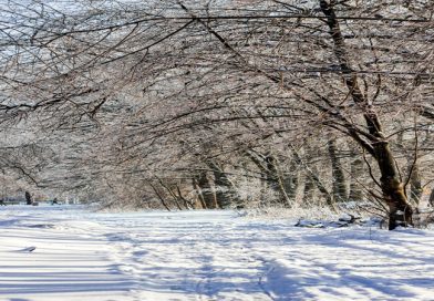 Meteorolozi opet najavljuju do -15 stepeni
