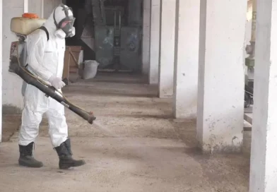 U sredu deratizacija u Novom Pazaru