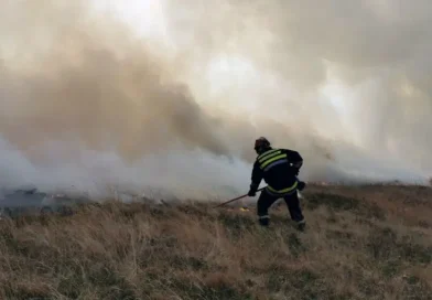 Povećan broj požara na otvorenom u Novom Pazaru: nadležni apeluju na oprez