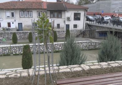 U toku proljetnja sadnja na različitim lokacijama u Novom Pazaru