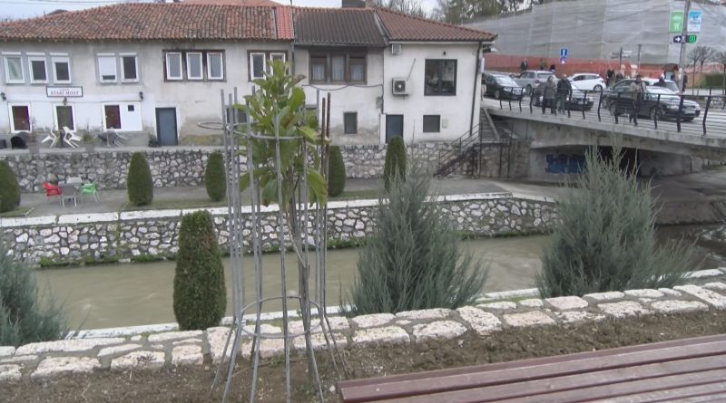 U toku proljetnja sadnja na različitim lokacijama u Novom Pazaru