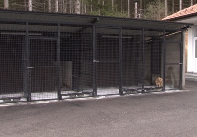 Otvoreno gradsko prihvatilište za pse i mačke u Novom Pazaru