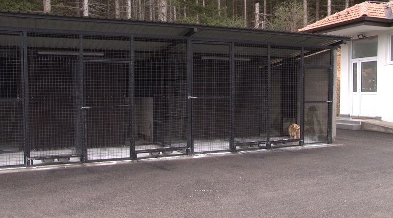 Otvoreno gradsko prihvatilište za pse i mačke u Novom Pazaru