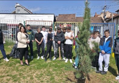 Velika ekološka akcija: Uređuju se školska dvorišta i sade nova stabla
