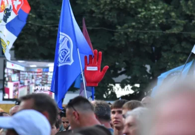 Aida Ćorović o skupu u Kraljevu: „Baljezgarije s kraja osamdesetih i džiberska svest“