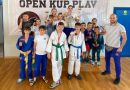 Džudistima Novog Pazara 17 medalja na turniru u Plavu