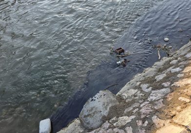 Ekološki akcident na reci Raški u Novom Pazaru: Nadležne službe utvrđuju uzrok
