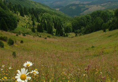 Golija – razvoj turističkog potencijala uz očuvanje prirodnog bogatstva