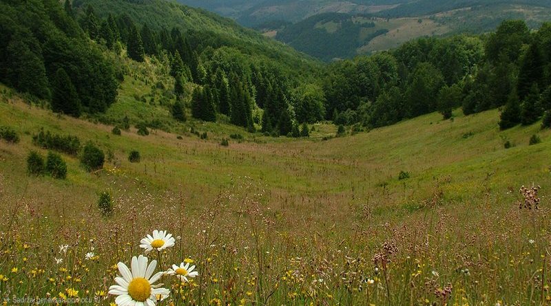 Golija – razvoj turističkog potencijala uz očuvanje prirodnog bogatstva