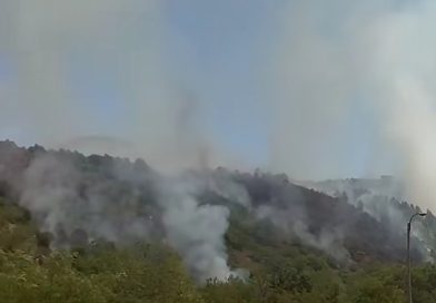 Više požara na Ibarskoj magistrali