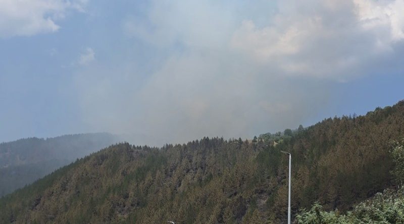 Borba sa vatrom ne prestaje! Helikopter i vatrogasci brane Ibarsku klisuru