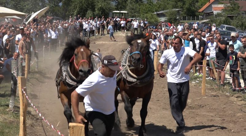 Spektakl u Trnavi: štraparijada prvi put u novopazarskom kraju